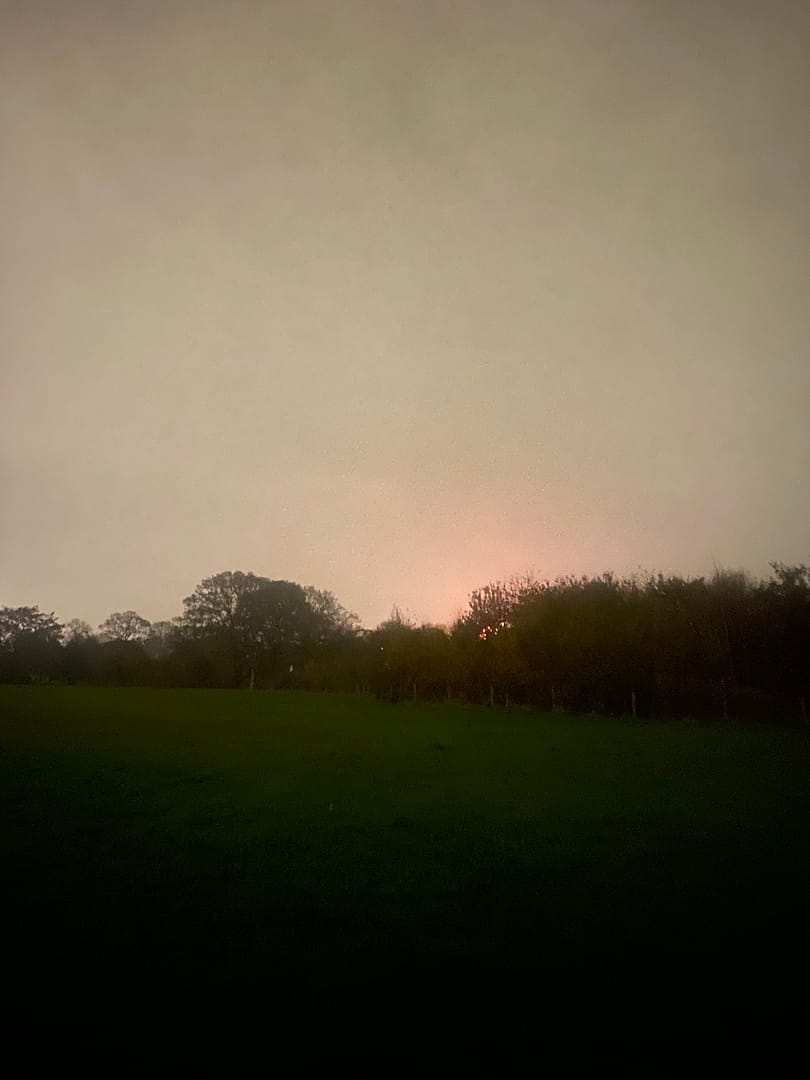 Mental Health: The Shifting of the Seasons