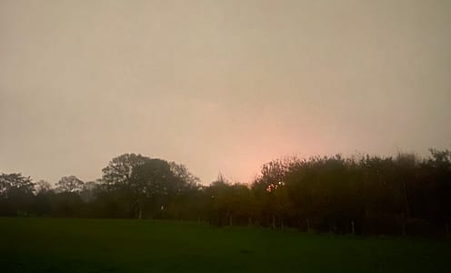 Mental Health: The Shifting of the Seasons